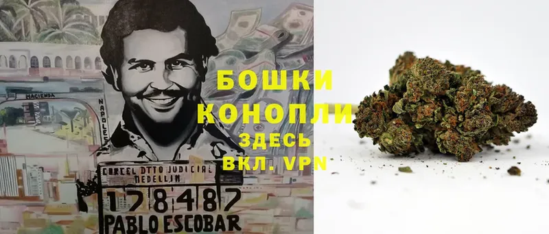 Шишки марихуана Amnesia  Исилькуль 